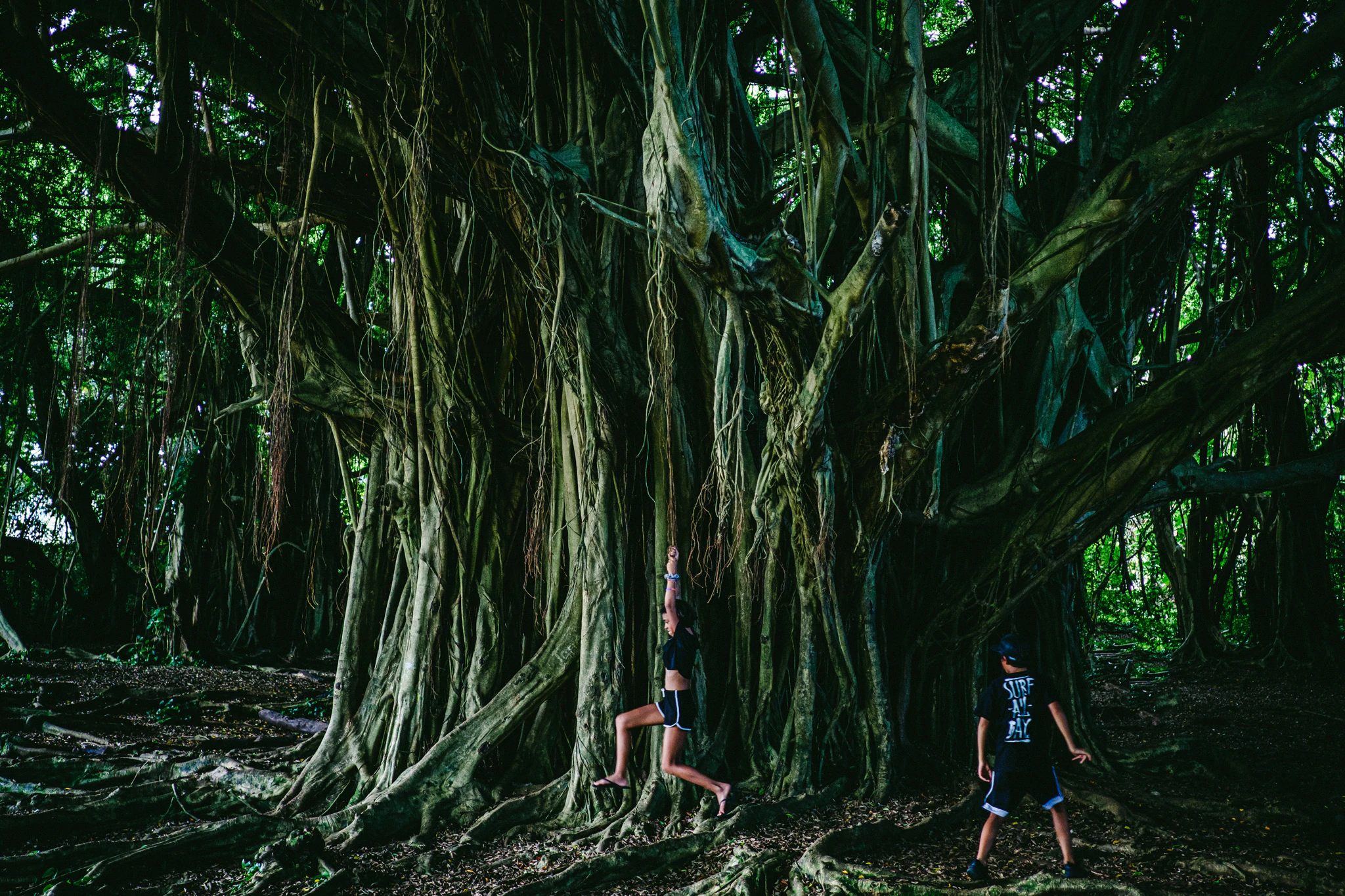 Photography by Rick Dang